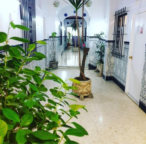 Sanvi Xerez Centro - Guadalcacín