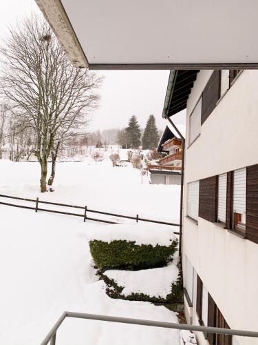 Gemütliche Ferienwohnung - Mitten im Schwarzwald