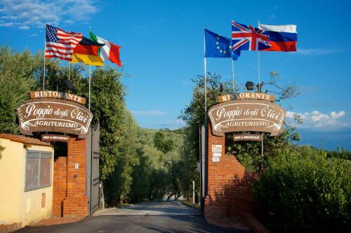 Poggio degli Olivi