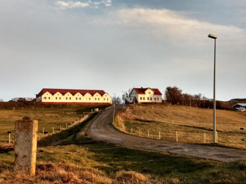 Helluland Guesthouse 4