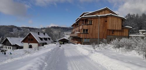 Vista exterior, Apartment Iva in Cerny Dul