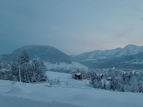 Ferienwohnung Schönenbühl (Ferienwohnung Schonenbuhl) in ฮิททิเซา