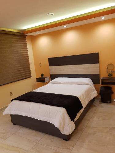Departamento centro Zacatecas Black Deer