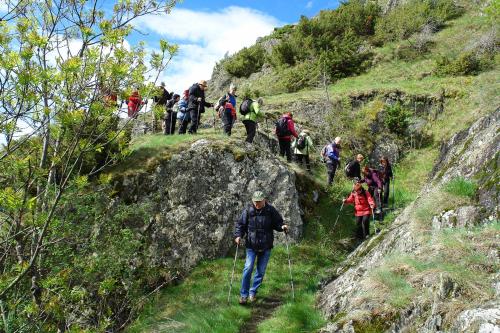 Hotel Estanys Blaus - image 14