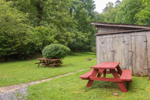 Beary Wild Cabin in the Smokies