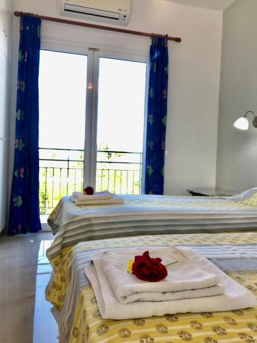Room in Apartment - 2 Bedroom Apartment with Swimming Pool two steps from the beach - main image