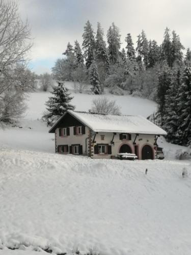 Au calme gîte à louer Gerbépal