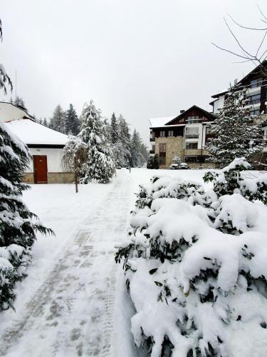 Pinewood ANG Apartment, Semiramida Borovets Hills