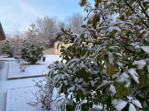 B&B Oasi Vetoio - image 10