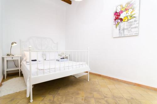 Can Romaguera