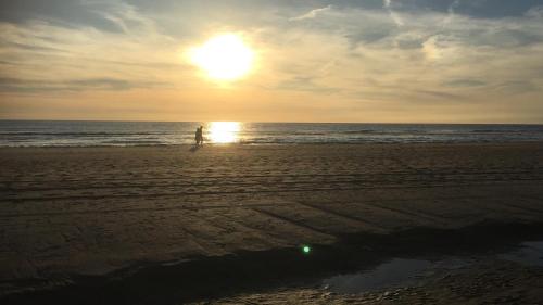 Surrounding environment, Das Luxus Dunenhauschen mit Wellnesszugang in Egmond aan Zee