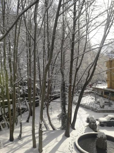 Tamerland-faraya in Фарая