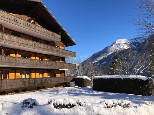 Monteilly A6 - Apartment - Champéry