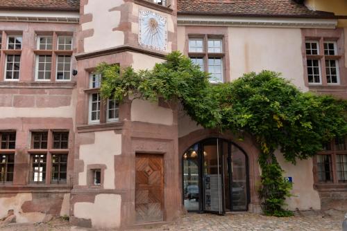 Domaine La Cour Des Nobles - Demeure, Maison et Appartements au coeur de Riquewihr