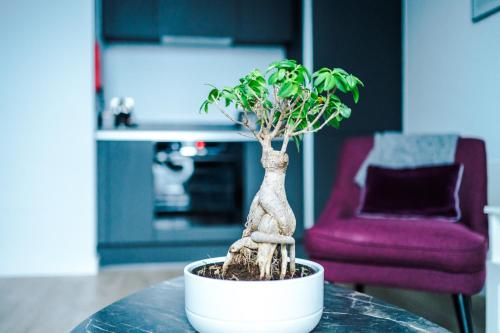 Hilltop Serviced Apartments - Deansgate, Manchester (fotografie 8)