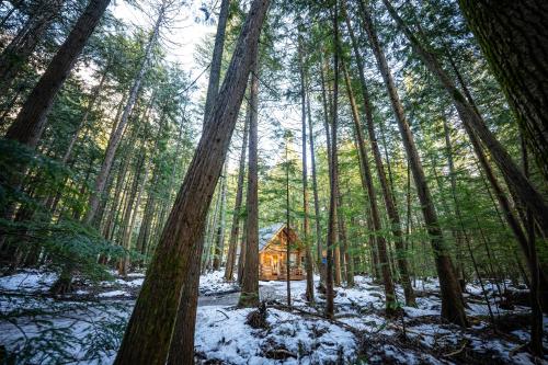 Rustic Glamping Cabin