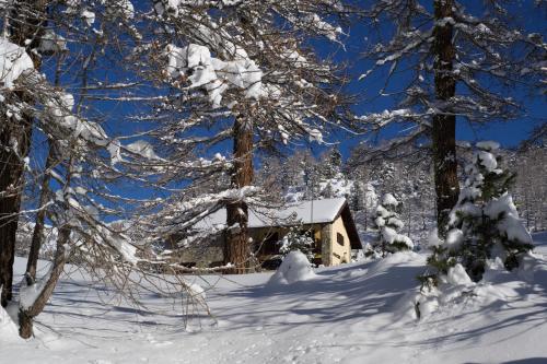 Rifugio Baita Gimont