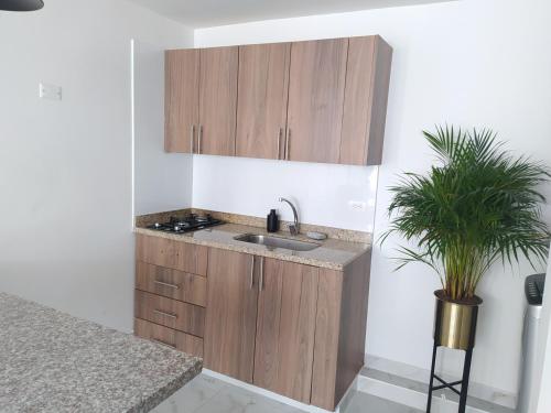 One-Bedroom Apartment image 3