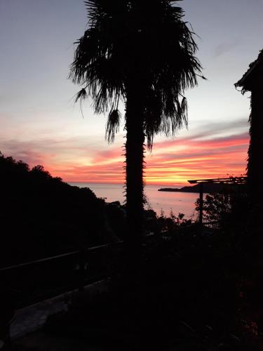 Holiday Homes Sunset Hill - image 9