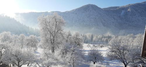 A környék, SOBE U SIRRC in Selo pri Bledu