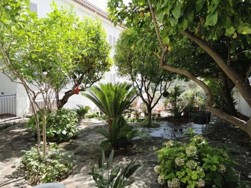 Hotel Candia - image 2