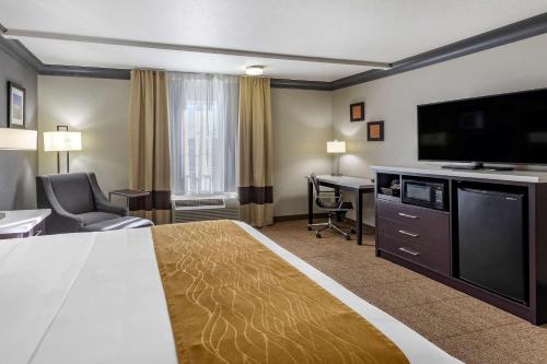 Comfort Inn & Suites Near Universal - North Hollywood – Burbank - image 13