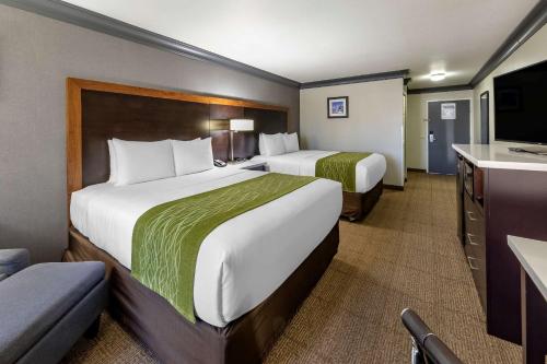 Comfort Inn & Suites Near Universal - N Hollywood - Burbank - Hotel - Los Angeles