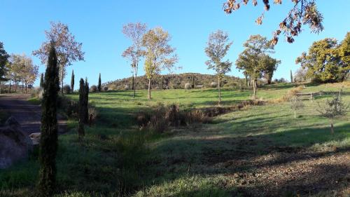 Agriturismo Aia Leccioni