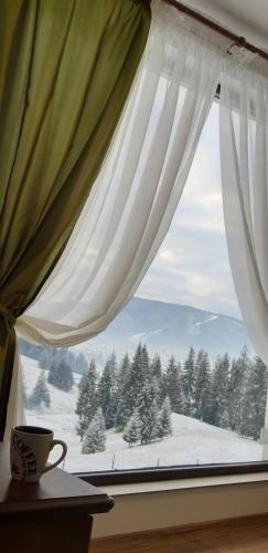 . Bucovina Sky View