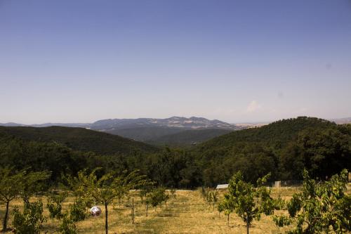 Agriturismo Aia Leccioni