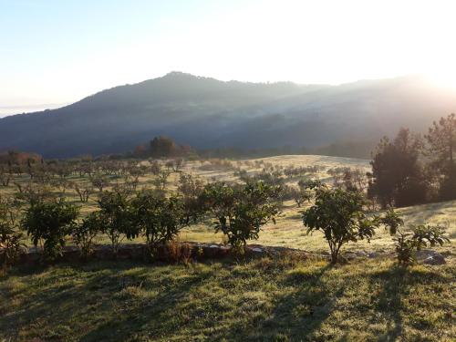 Agriturismo Aia Leccioni