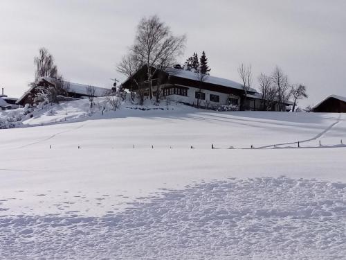 Haus Hopfenseeblick 5