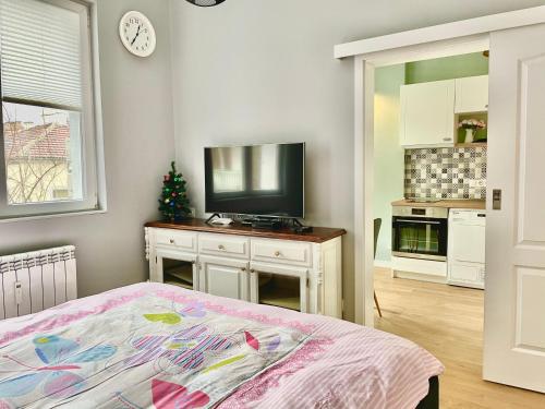 Solunska Stylish Apartment, Sofie
