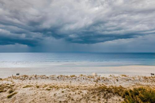 The Palms - image 10