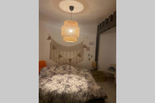 Maison ville jardin théâtre Orleans centre gîte à louer Poupry