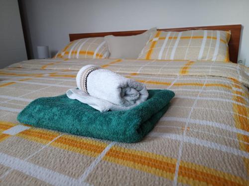  Apartment Igor - HOLIDAY HOME in 47300 Oštarije