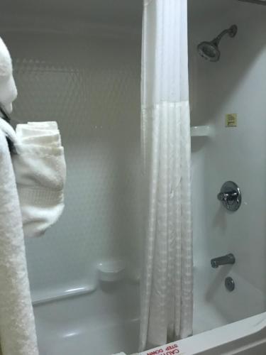 Comfort Inn - image 6