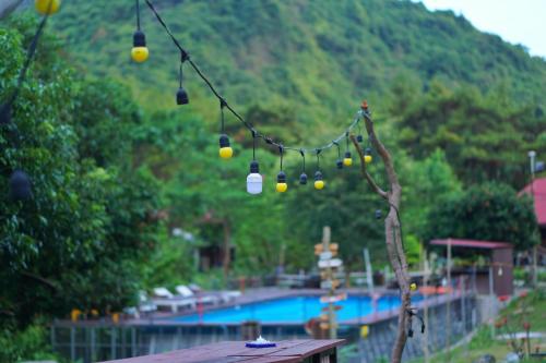 Swimming pool, Cat Ba Eco-Lodge Hotel in Xuan Dam Village