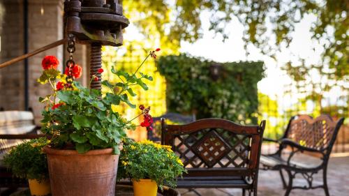 La Maestà antica dimora di campagna - image 14