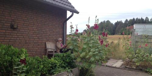 Eule in Nahrendorf