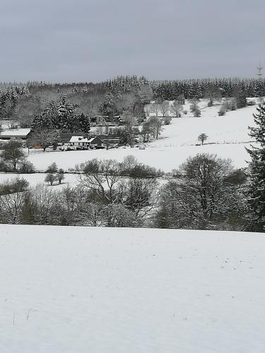  Chez Lisa avec jaccuzi in Vielsalm