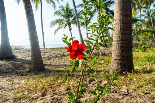 Hibiscus Beach House - Tap to explore photos