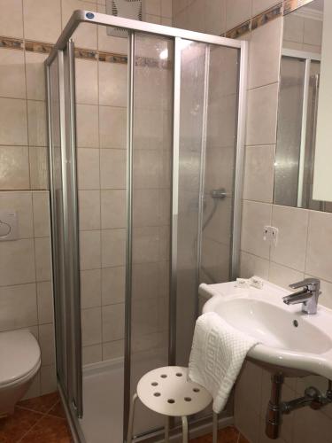 Gasthof Hotel Wiesenhof - image 13
