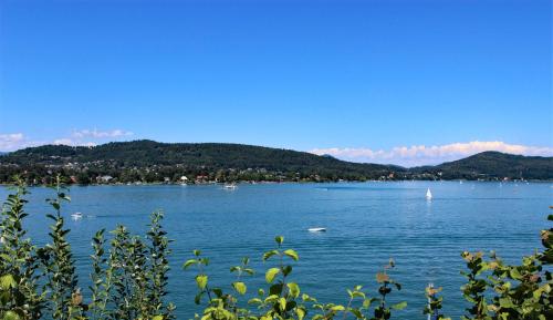 Ferienwohnung am Wörthersee Villa Waldbach - image 3
