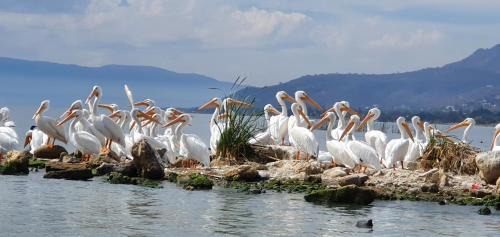 Nimue Marina Residence Nimue Marina Residence