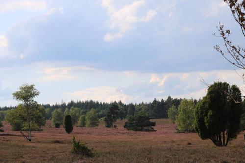 Ümbrus, mara in Wendisch Evern