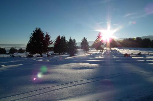 Cserekert, Alszegi Porta in Balvanyos