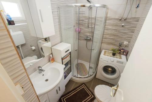 One Bedroom Apartment image 3