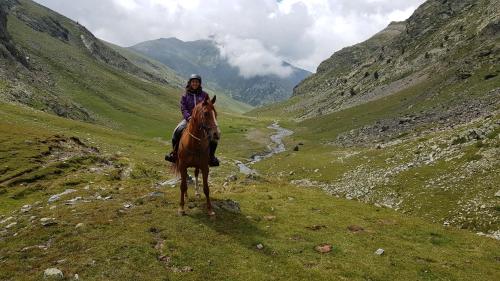  Can Marxant in Molló