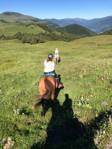  Can Marxant in Molló